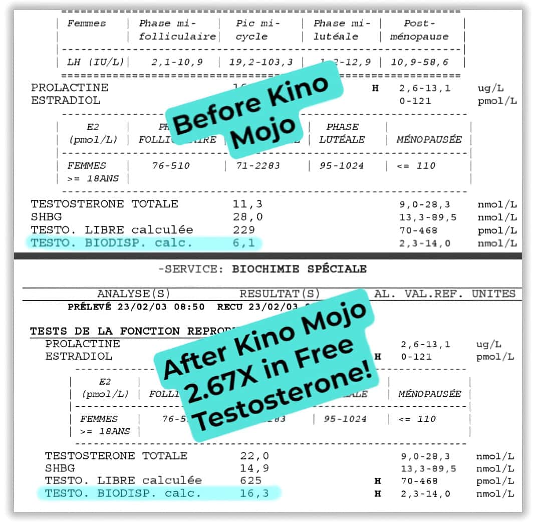 Kino Mojo Blood Work Before and After